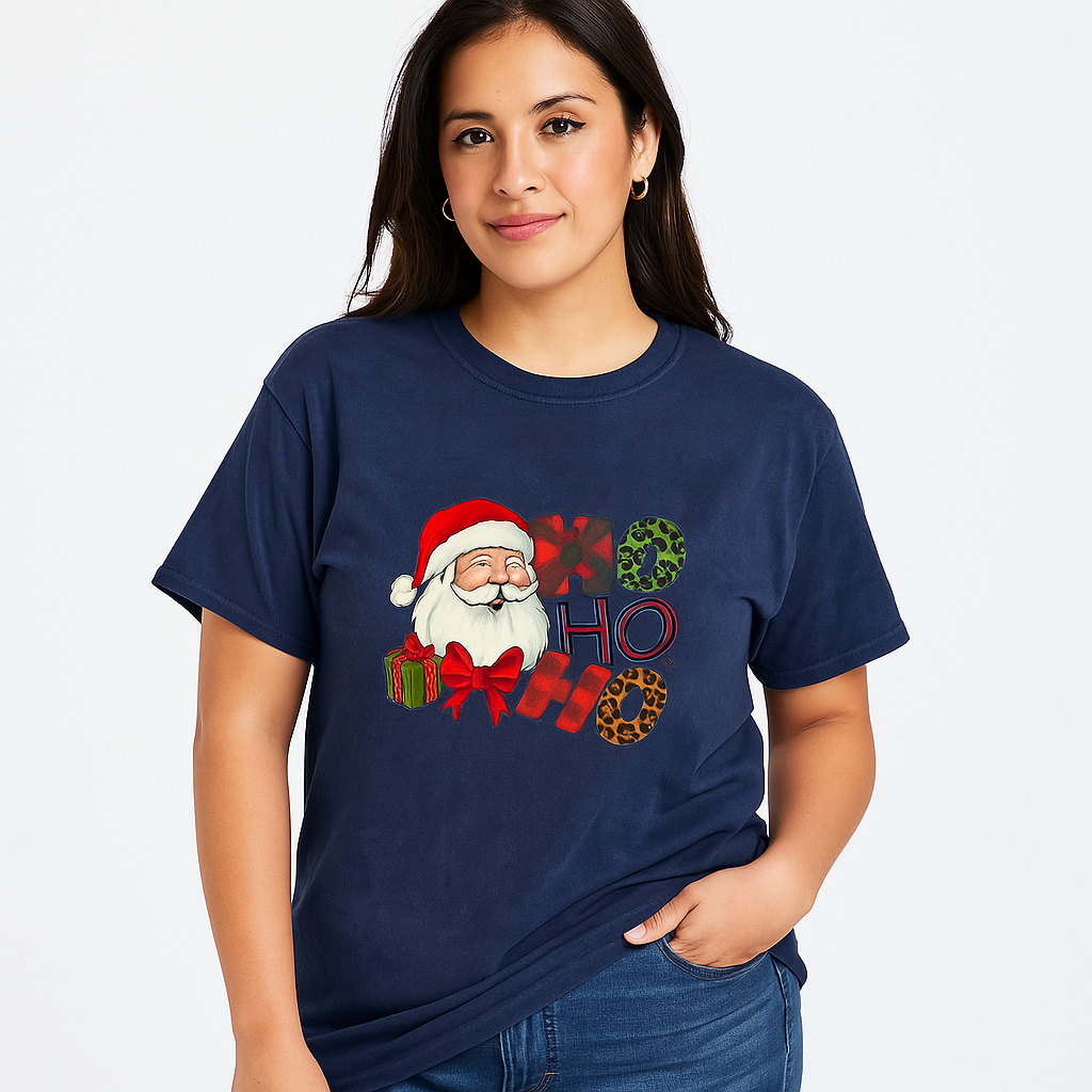 Large Christmas Santa HoHo